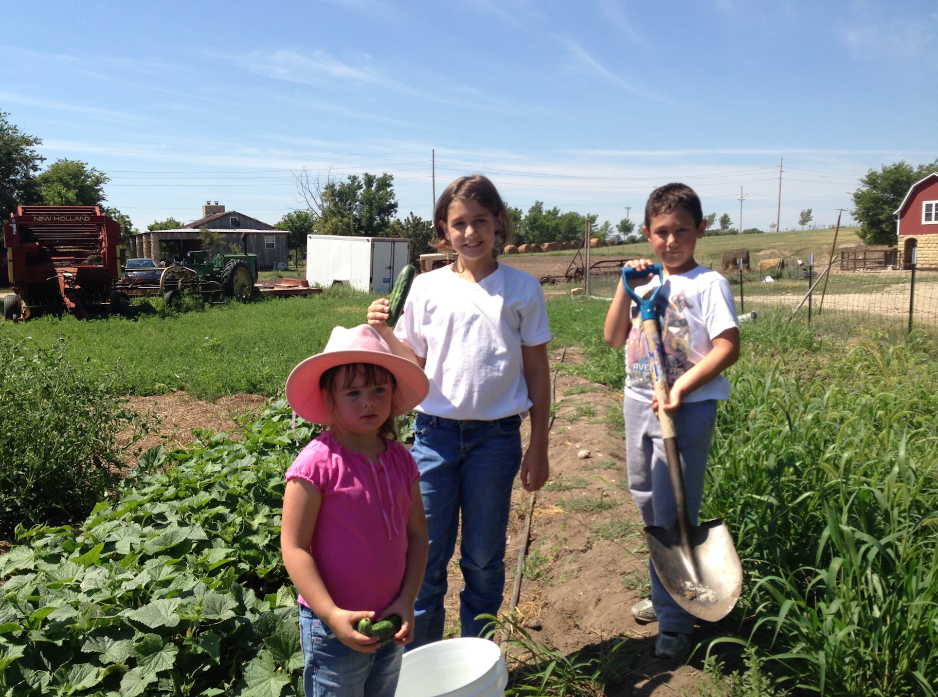 Children, who used to attend McGann's child care, dig potatoes and harvest vegetables on her brother's farm. Courtesy photo