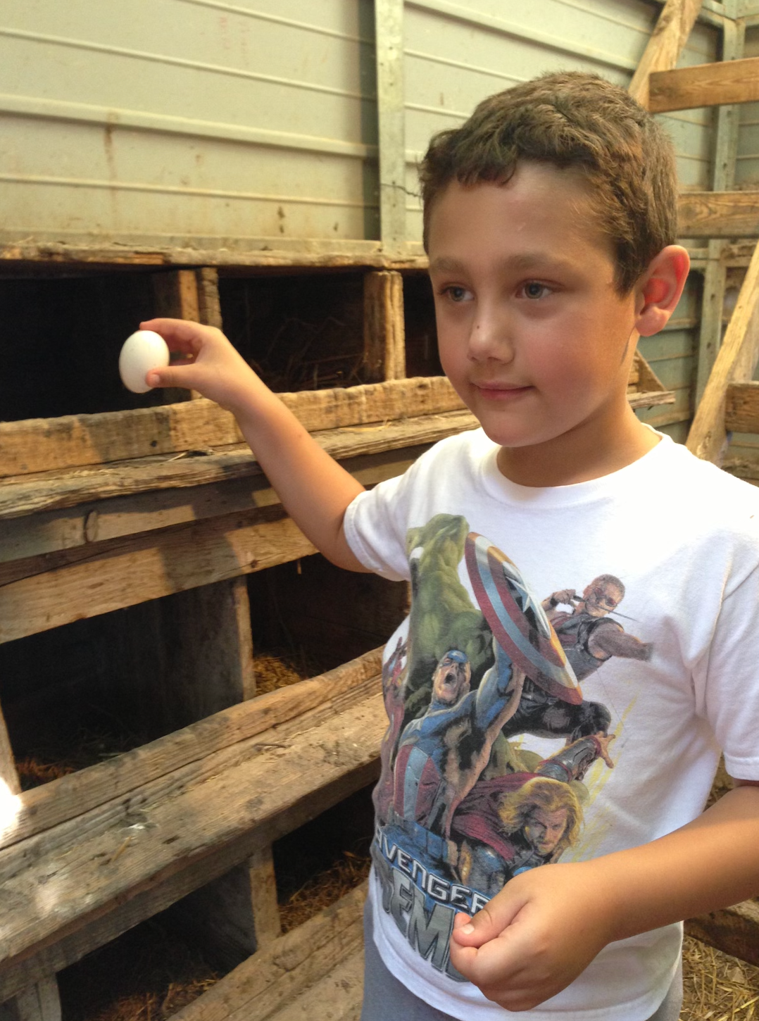 A boy who used to be in McGann's child care collects eggs during an outing to McGann's brother's farm. Courtesy photo