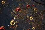 Evergy Urges Holiday Light/Decoration Safety