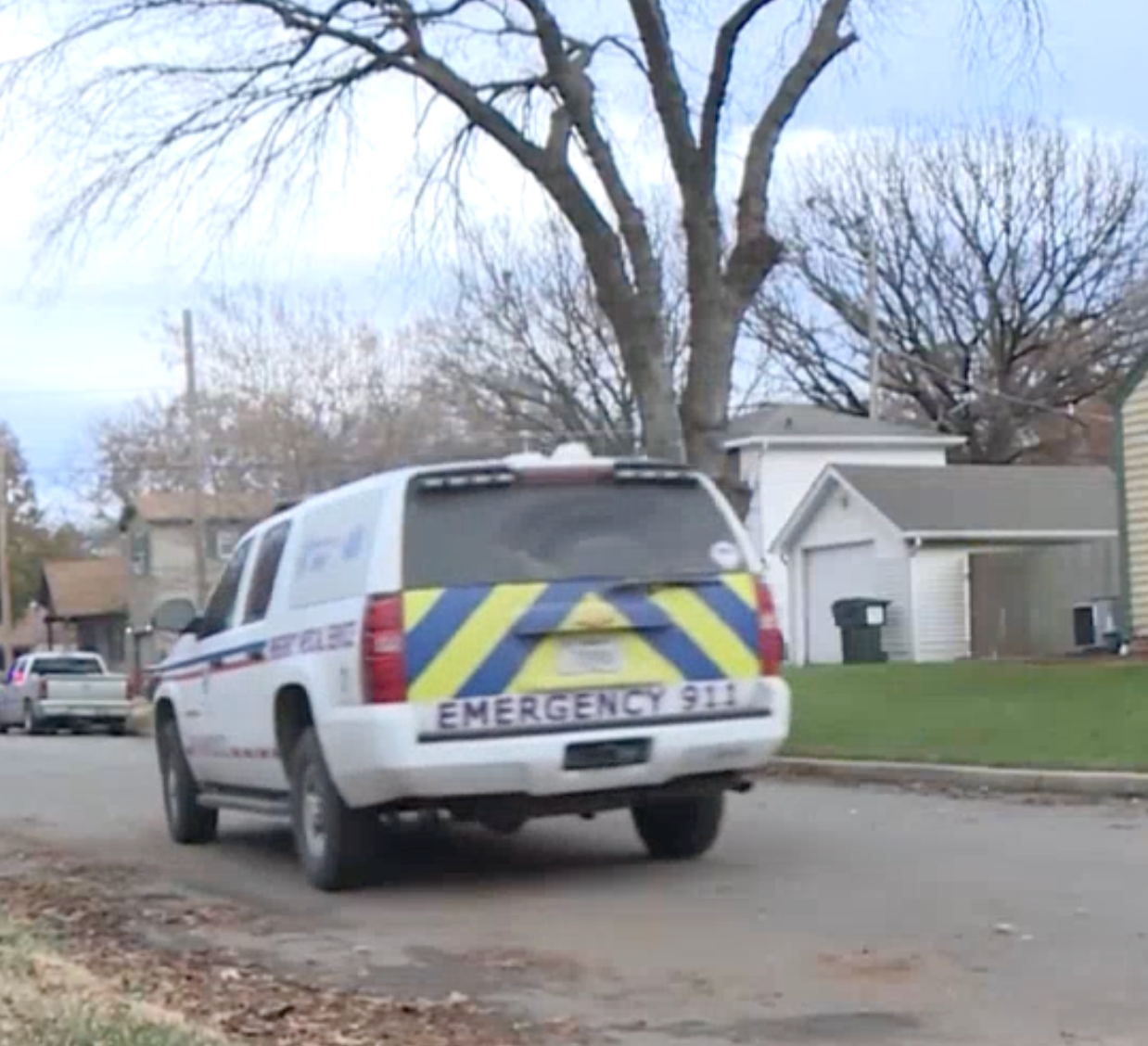 Dogs attack Kansas sheriff's deputy, woman and teen