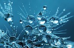 Public Works reports a waterline break