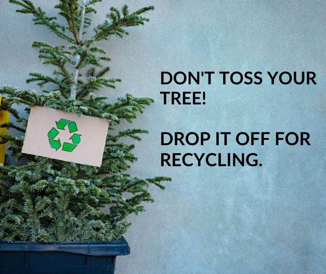 Local Christmas Tree Drop Off at Maritza Brisco blog
