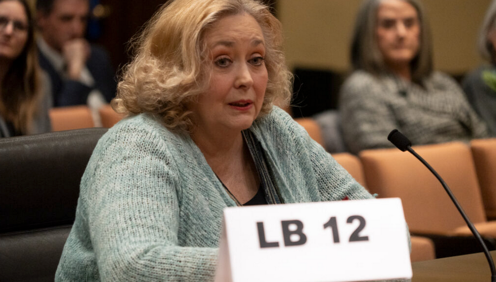 State Sen. Carol Blood of Bellevue introduces legislation to establish a human breast milk bank before the Health and Human Services on Wednesday, Feb. 1, 2023, in Lincoln. (Zach Wendling/Nebraska Examiner)
