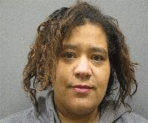 <b>Natasha Sue Sokol: Failure to appear, driving under suspension, traffic offenses-no insurance</b>