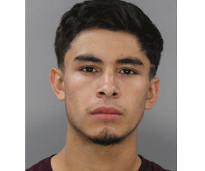 <b>Andy S. Portilla-Pineda: Operate a motor vehicle to avoid arrest, false reporting, willful reckless driving, no operator's license, city code violation (x2)</b>