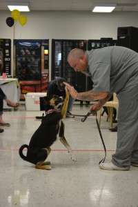 Puppies for Parole has been around since 2010 helping prepare puppies for adoption/ Photo courtesy of David Owens