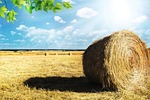 More than $25,000 worth of hay stolen in Barton County