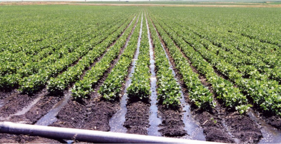 Pipe irrigation using water provided by the Central Nebraska Public Power and Irrigation District. (Courtesy of Central Nebraska Public Power and Irrigation District)