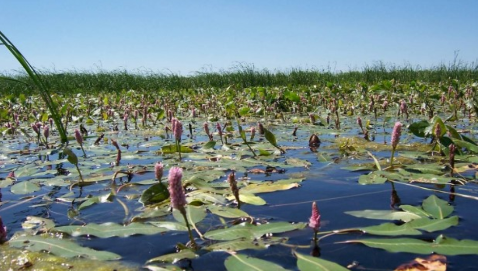 .S. House Republicans are renewing the decades-long fight over the so-called Waters of the U.S. rule, or WOTUS. (Courtesy of the Iowa Department of Natural Resources)