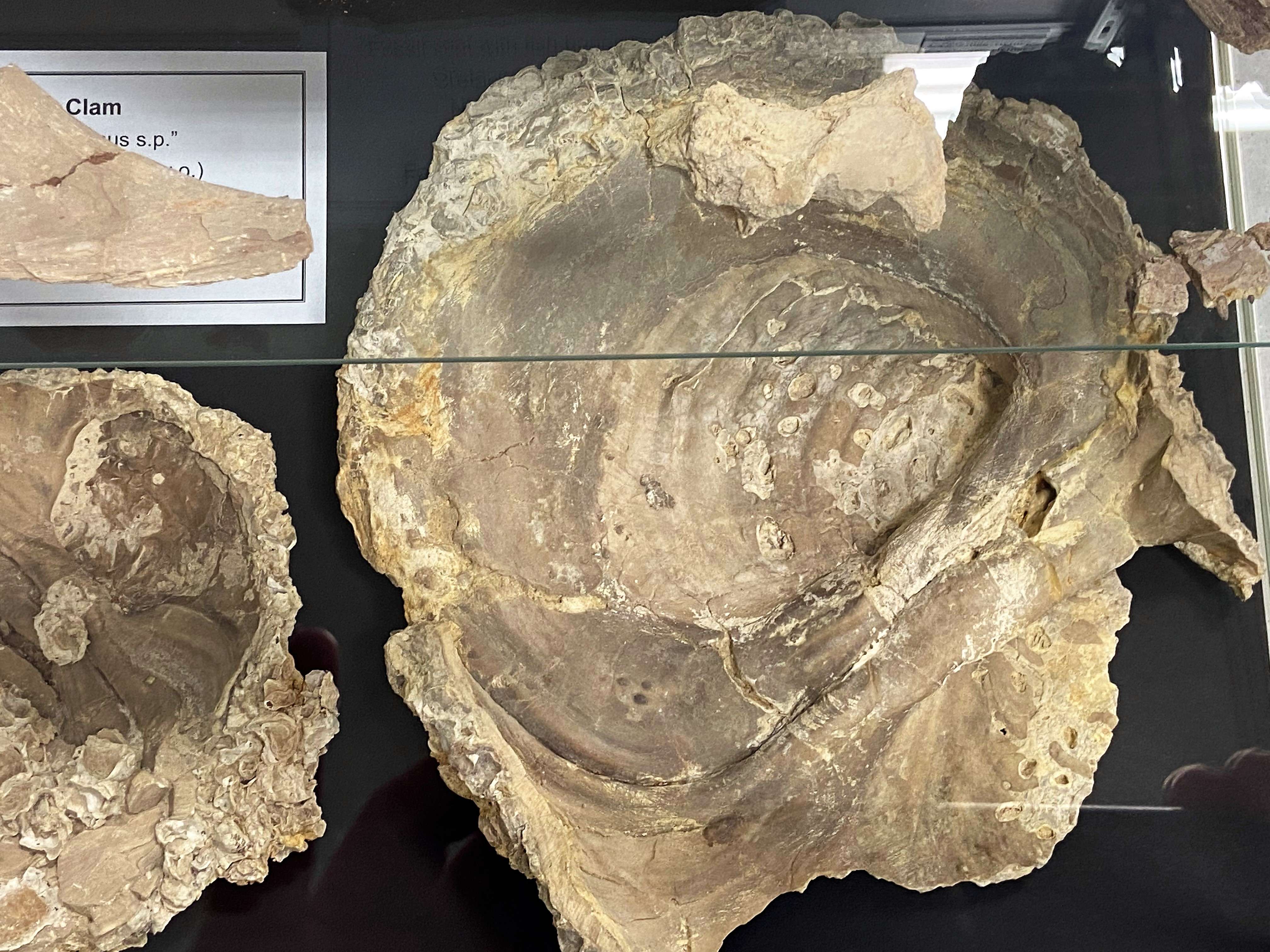 written by: Karen Madorin