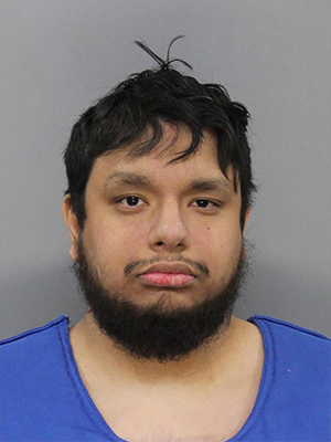 <b>Julian J Renschler - 3rd degree domestic assault</b>