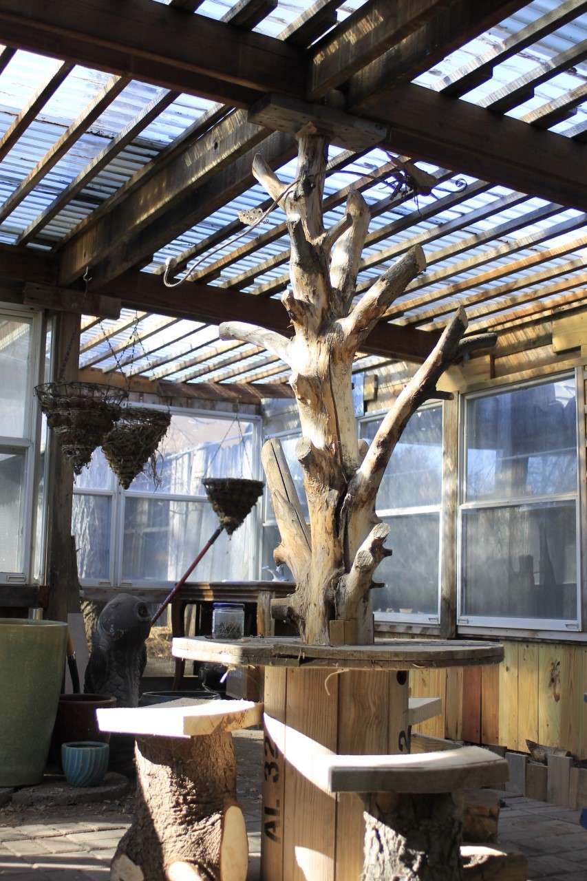 Light pours through the greenhouse roof.