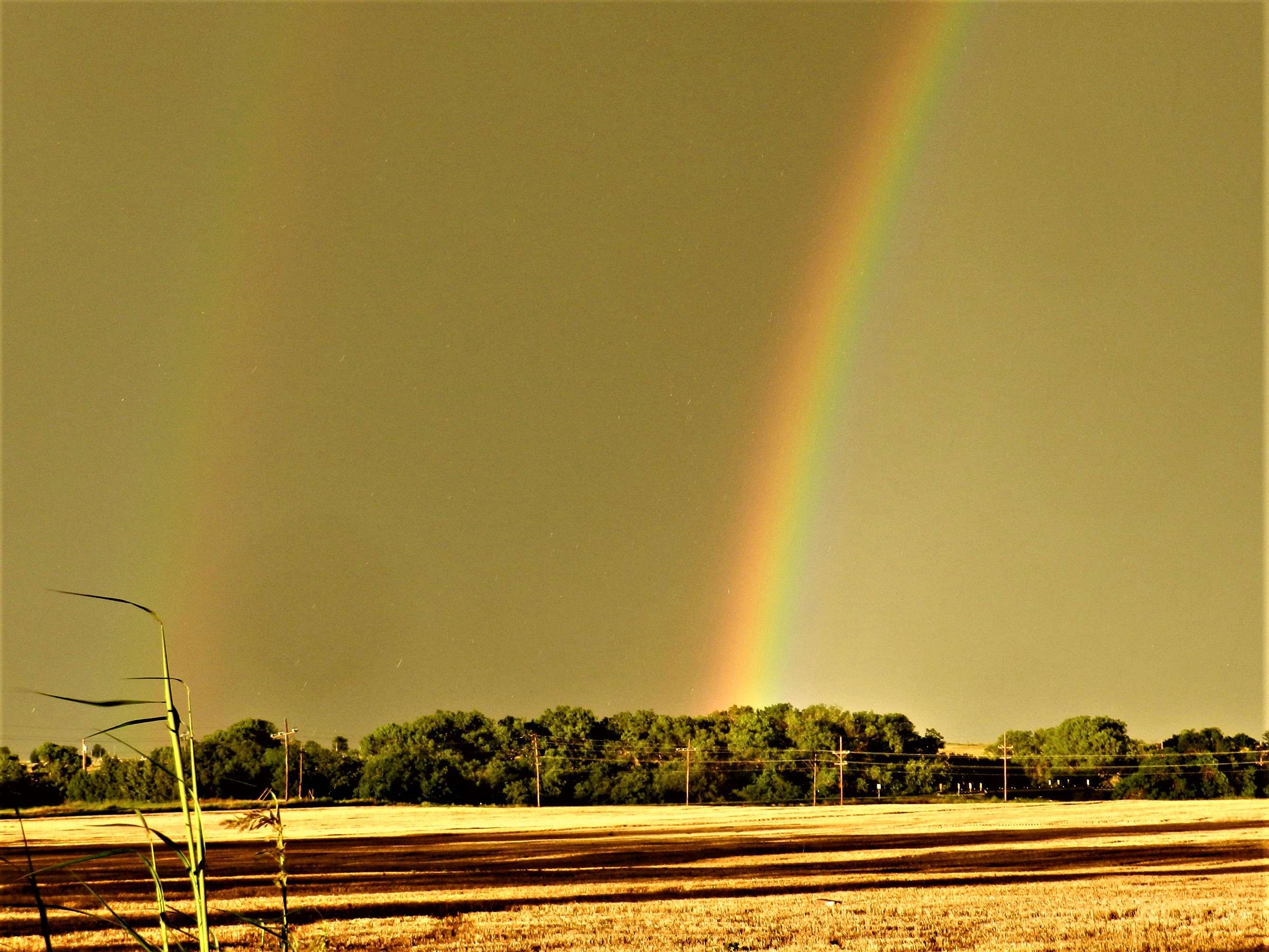 written by: Karen Madorin