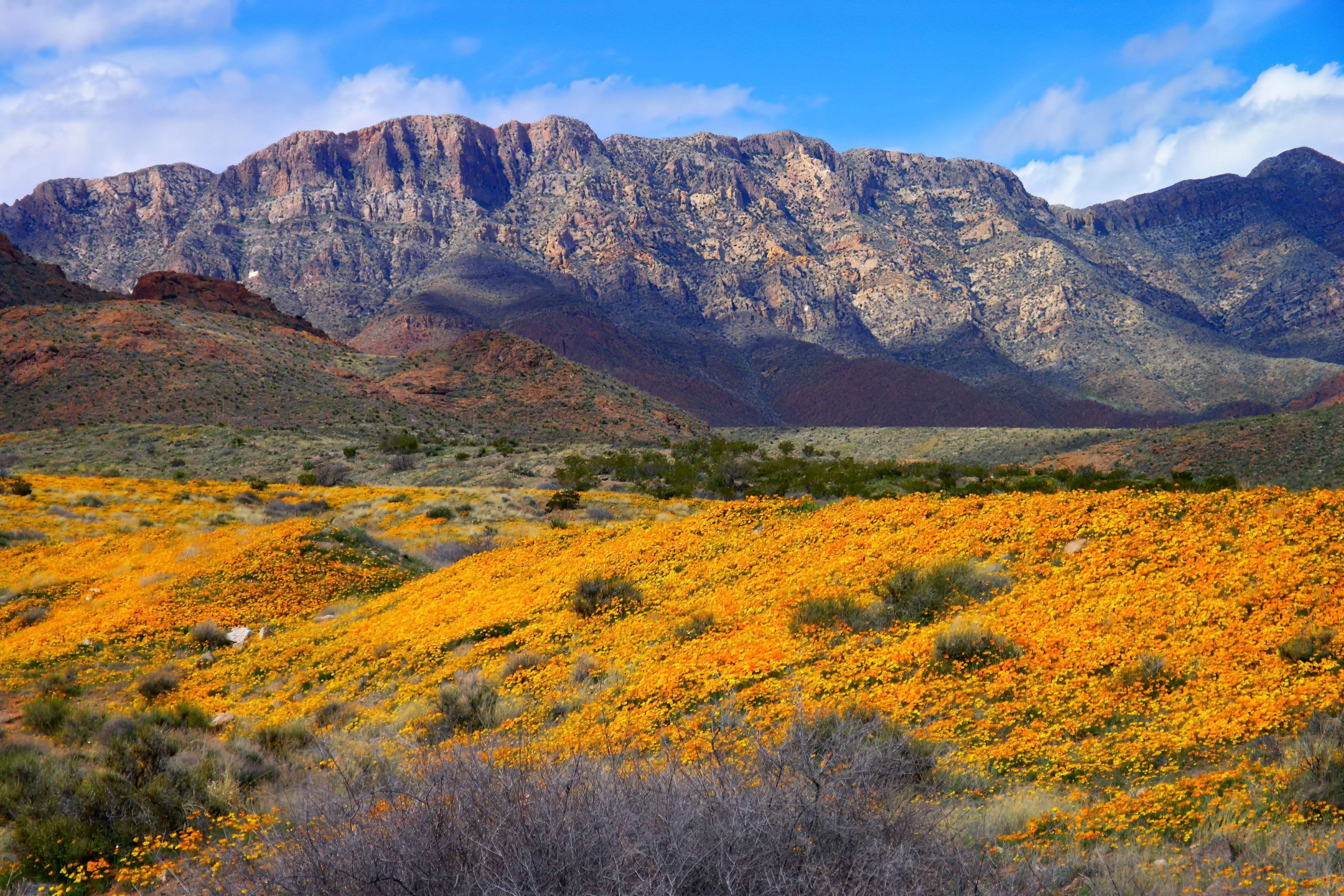 Castner Range National Monument in Texas- White House Photo