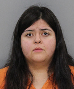 <b>Alexandra Rubia Hernandez - Possession of a Controlled Substance, Possession of K2 or Marijuana 1 oz or less, Possession or use drug paraphernalia</b>