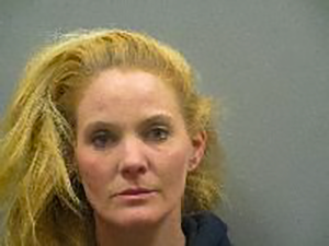 <b>Nicole Marie Hansen - Fraud Impersonation</b>