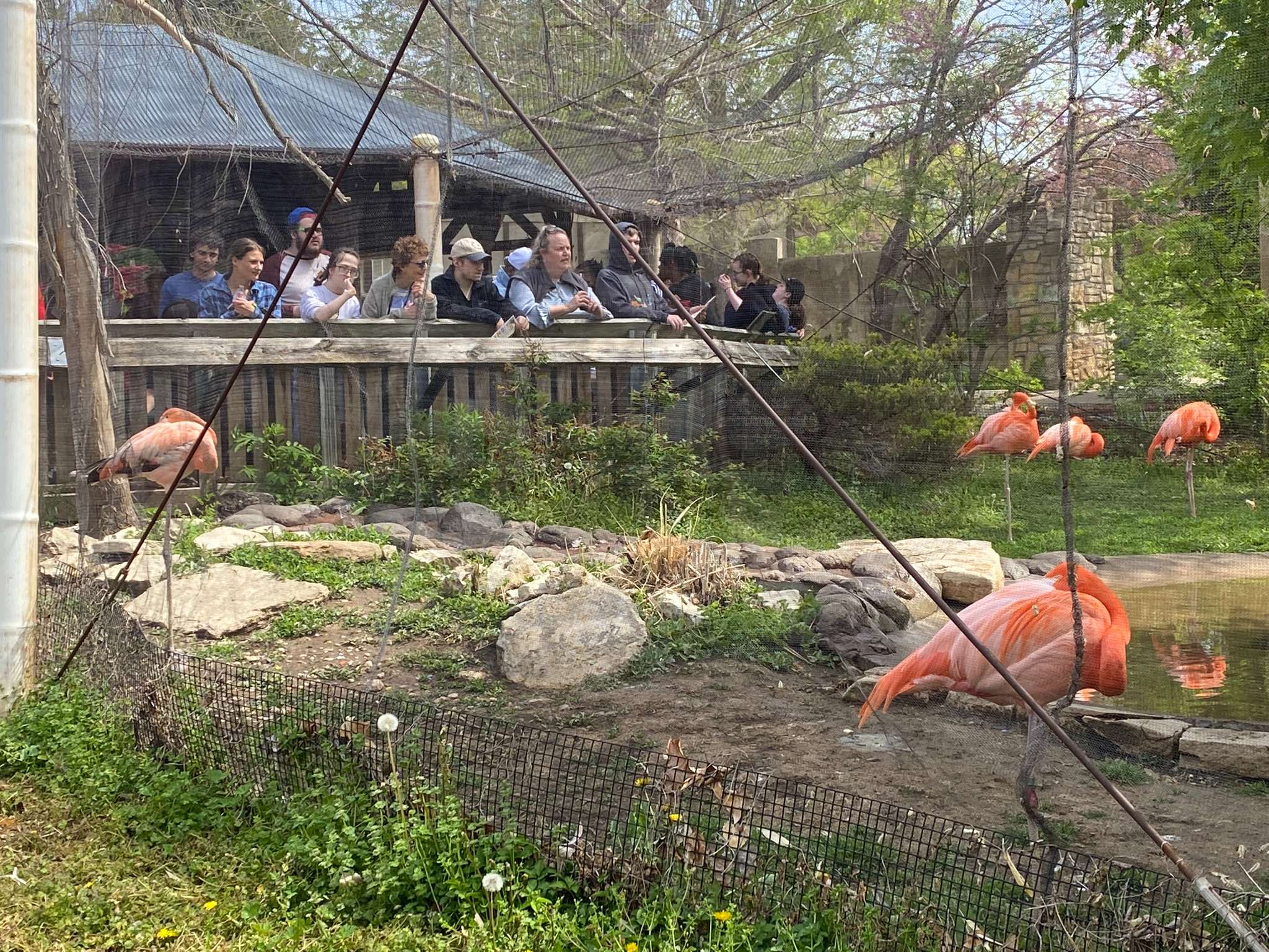 📷&🎥 Students with 'Inspire, Thrive, and Grow' program visit Sunset Zoo