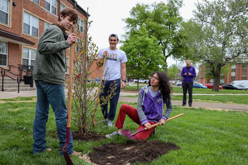 <b>Kansas Wesleyan students  (from left), Samuel Overbey, Noah Gonazales, and Joseph Salvatierra plant a Jane Magnolia in front of the campus dining hall Friday for National Arbor Day. Overbey and Salvatierra, both graduating seniors, have been members of the KWU Tree Advisory Committee for three years, and the tree, chosen by them, was planted to honor their service.</b> Photo courtesy KWU