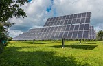 Can large-scale solar coexist with agriculture in rural America?