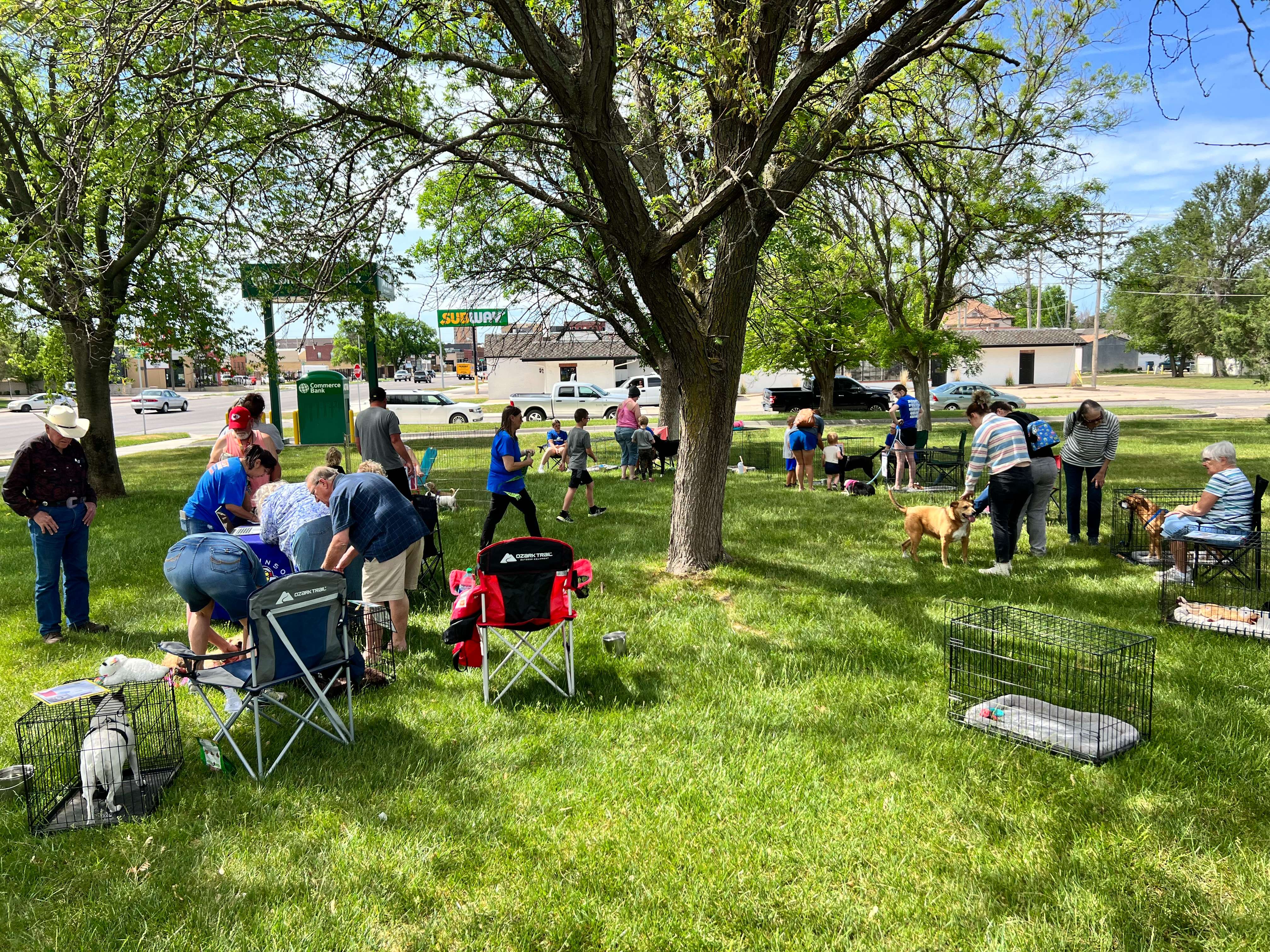 Adopt A Pet May 13 2023