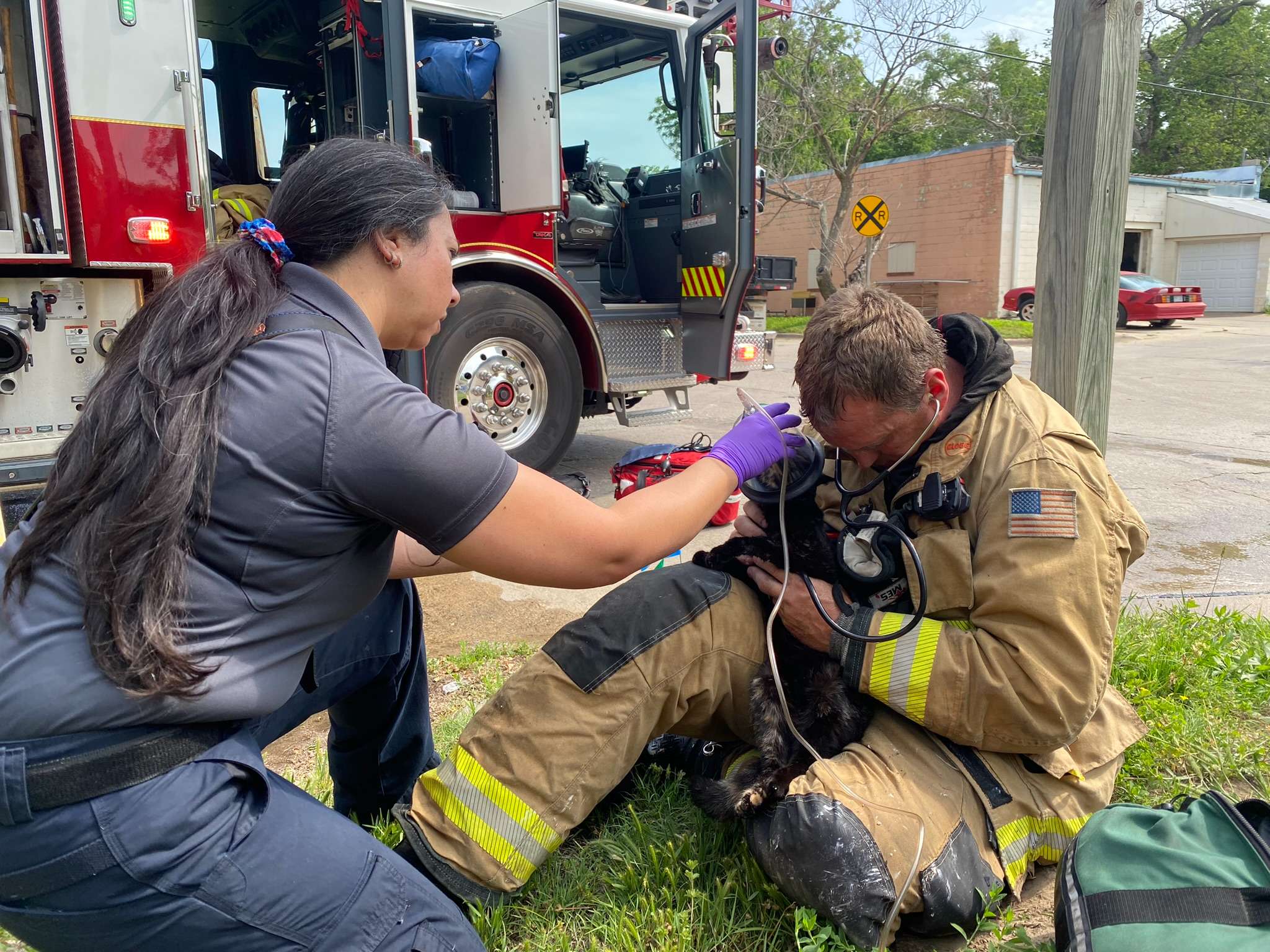 RCEMS and MFD treat cat rescued from housefire in MHK