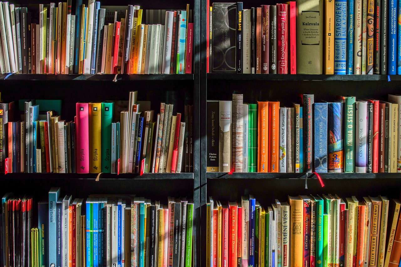 State lawmakers attempted to remove state funding of libraries earlier this year, and Secretary of State John "Jay" Ashcroft established a new rule that restricts what books those under 18 can check out -image pixaby