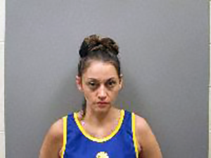 <b>Latosha Mary Ryan - Tampering with Evidence, Theft by Unlawful Taking $500 or less</b>