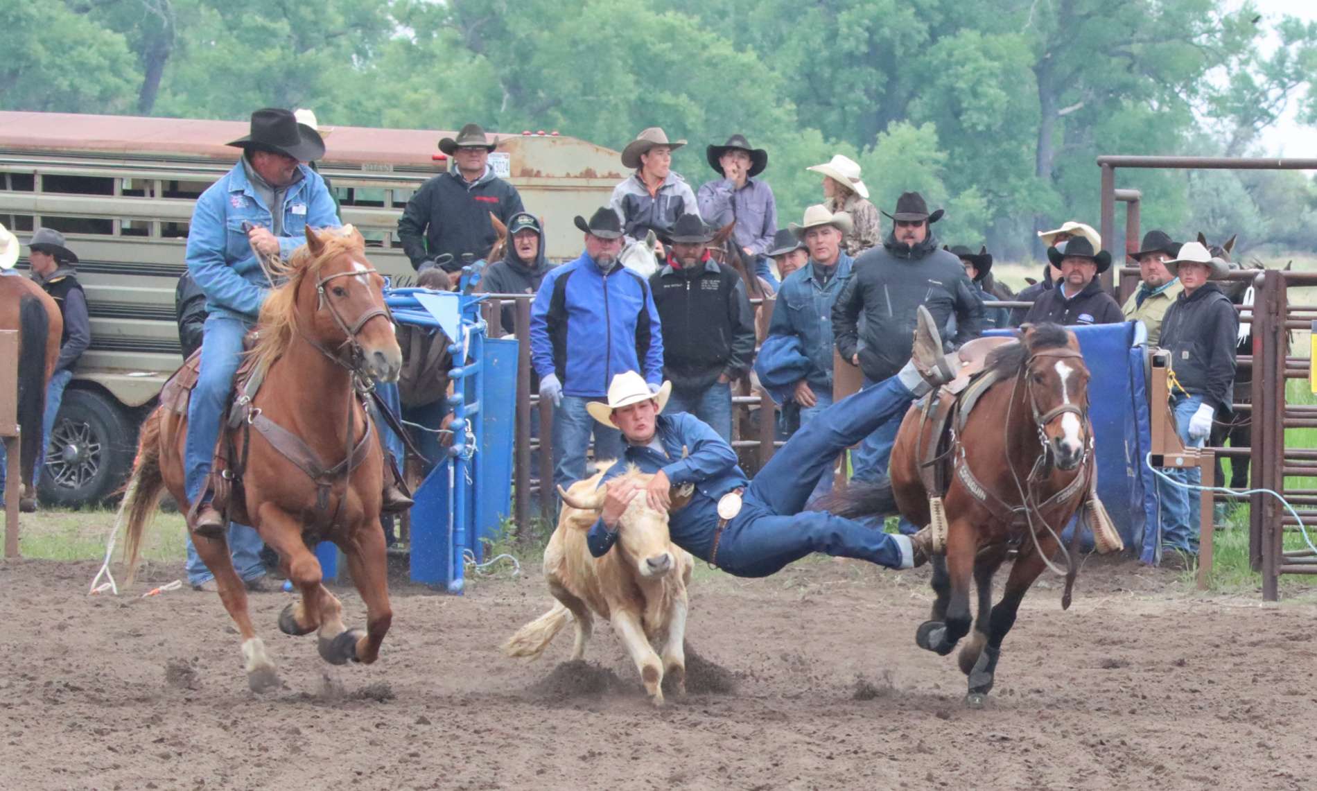Rhett Witt was a high school rodeo athlete (competing at the 2021 Nebraska High School Finals Rodeo) before he went pro. He will steer wrestle at the Buffalo Bill Rodeo in North Platte June 14-17. Photo by Steph Miller.