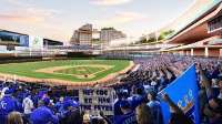 New Stadium.jpeg