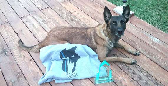 Newton Police Dog Bella
