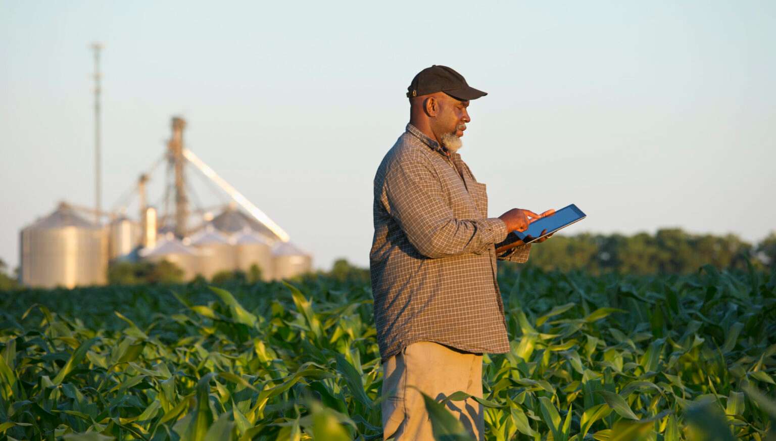 Farmer with digital tablet. (Getty Images)