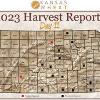 Harvest Report Day 11