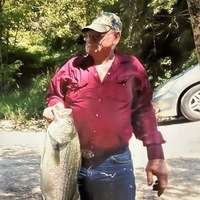 Wayne McMurry