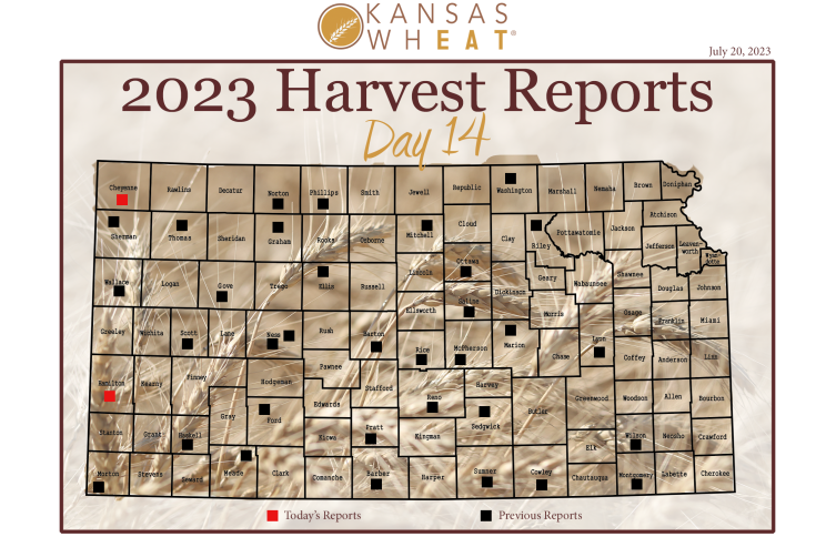 <i>Kansas Wheat</i>