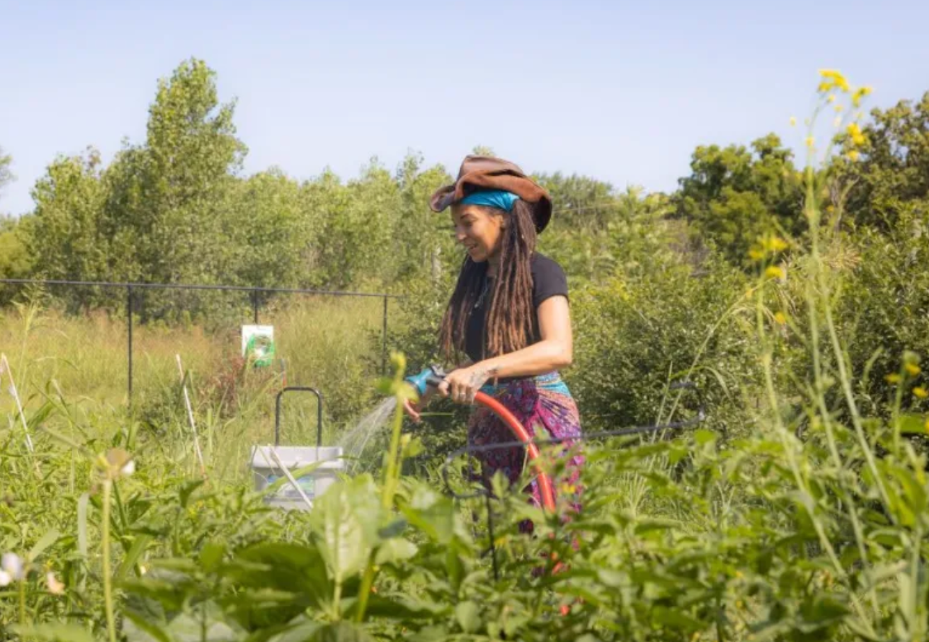 Nicolette Davis waters plants in a one-acre orchard in Swope Park intended to address food insecurity (Zach Bauman/The Beacon).
