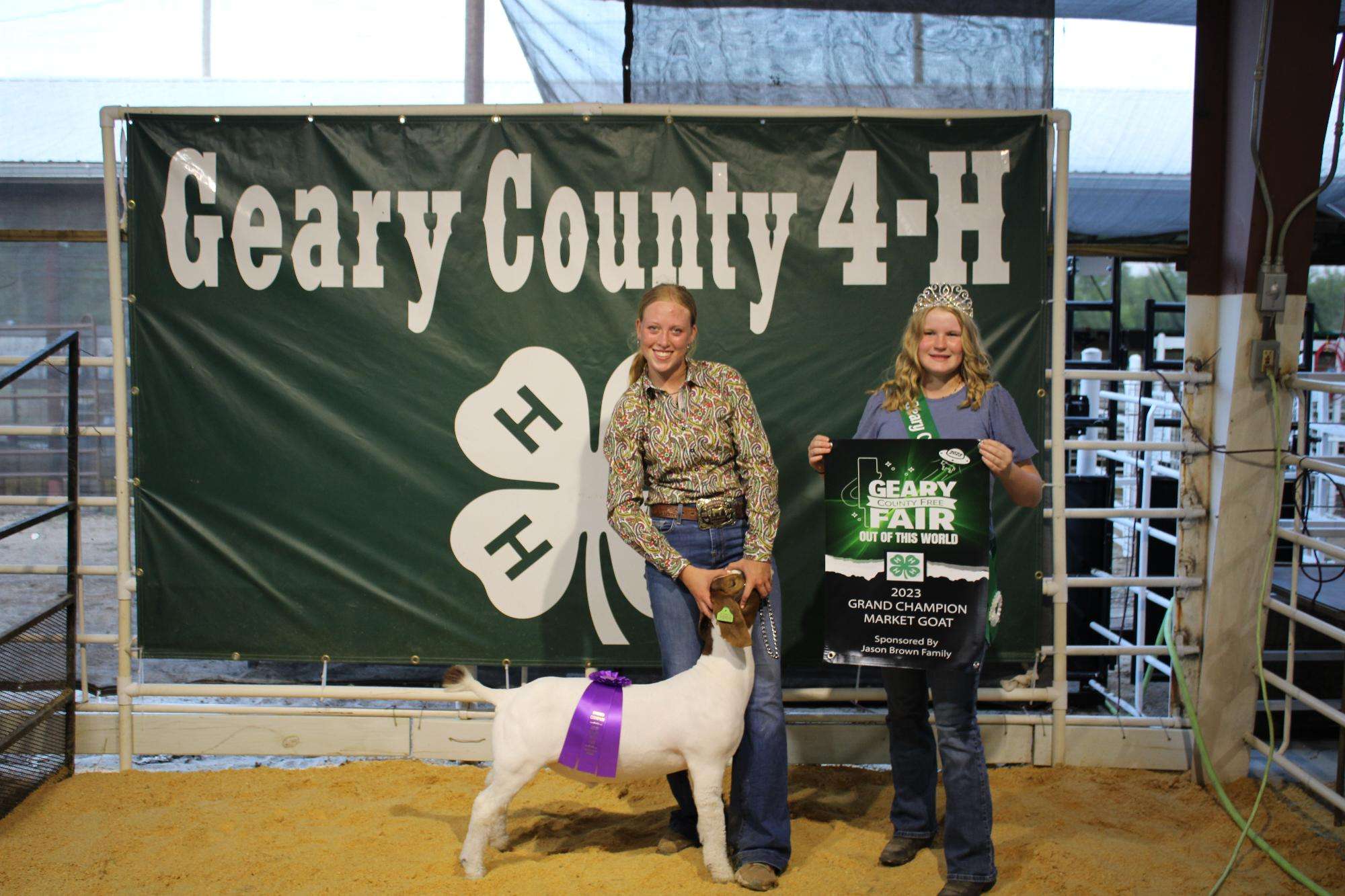 GRAND CHAMPION MARKET GOAT - TAVA GUSTAFSON