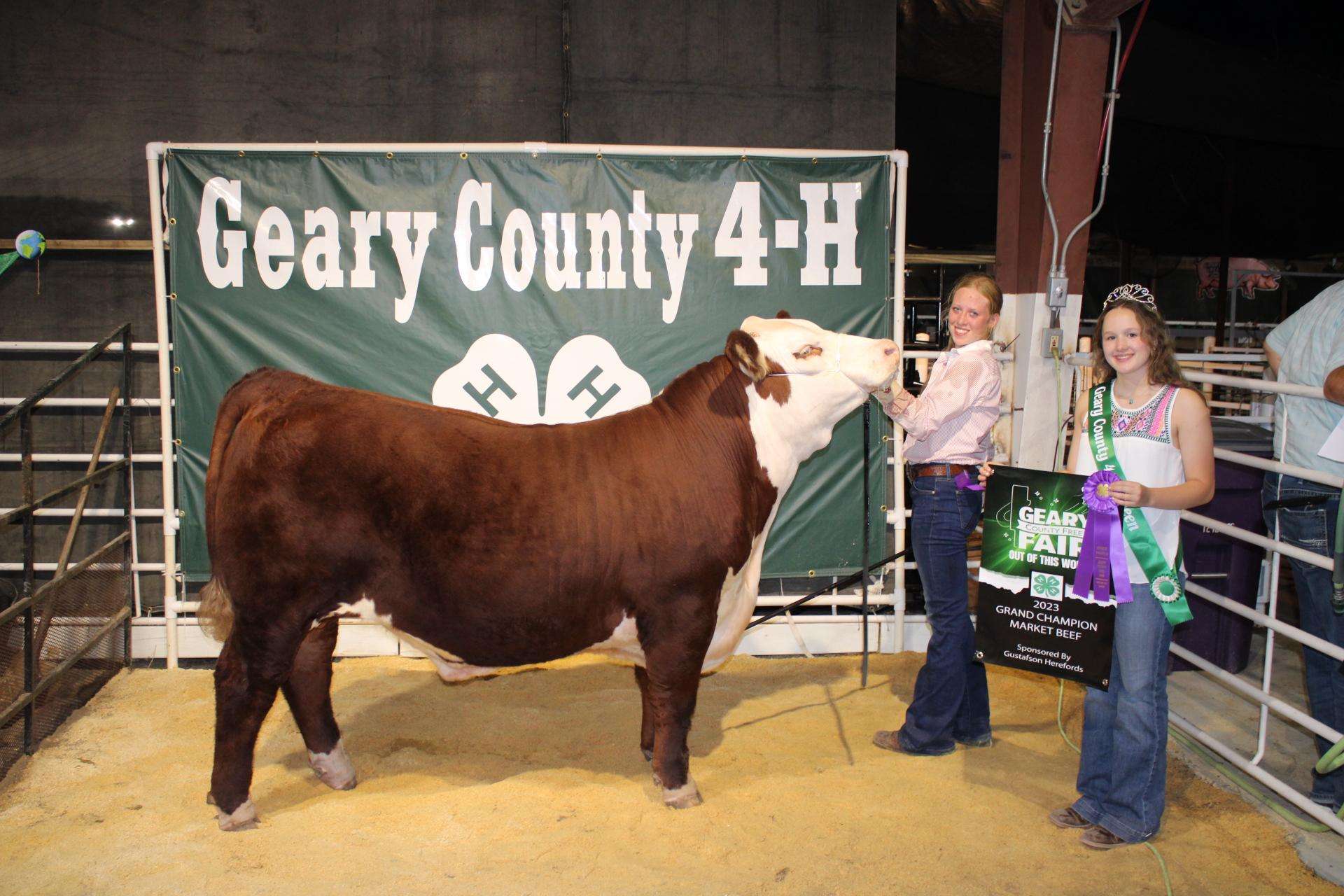 Tava Gustafson with the grand champion market steer