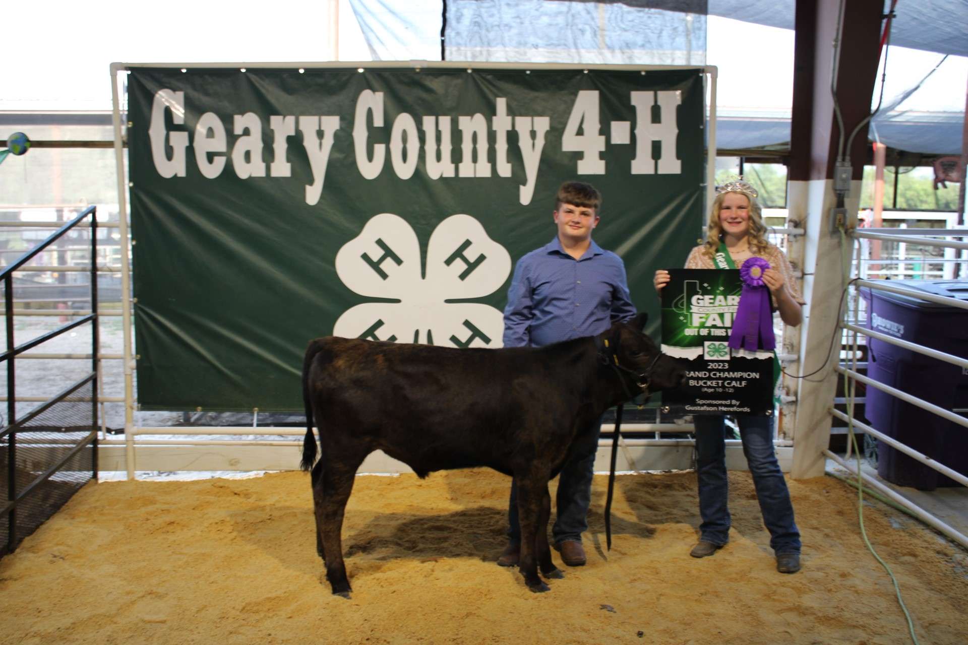 GRAND CHAMP BCK. CALF 10-12 - TYLER PROIETTI
