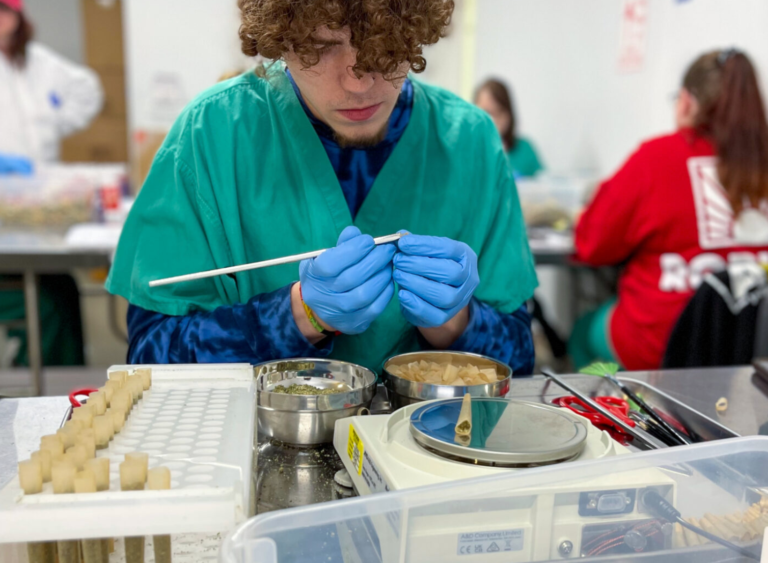Skyler Berry makes pre-rolled joints May 2 at the Robust Cannabis production facility in Cuba, Missouri. (Rebecca Rivas/Missouri Independent)