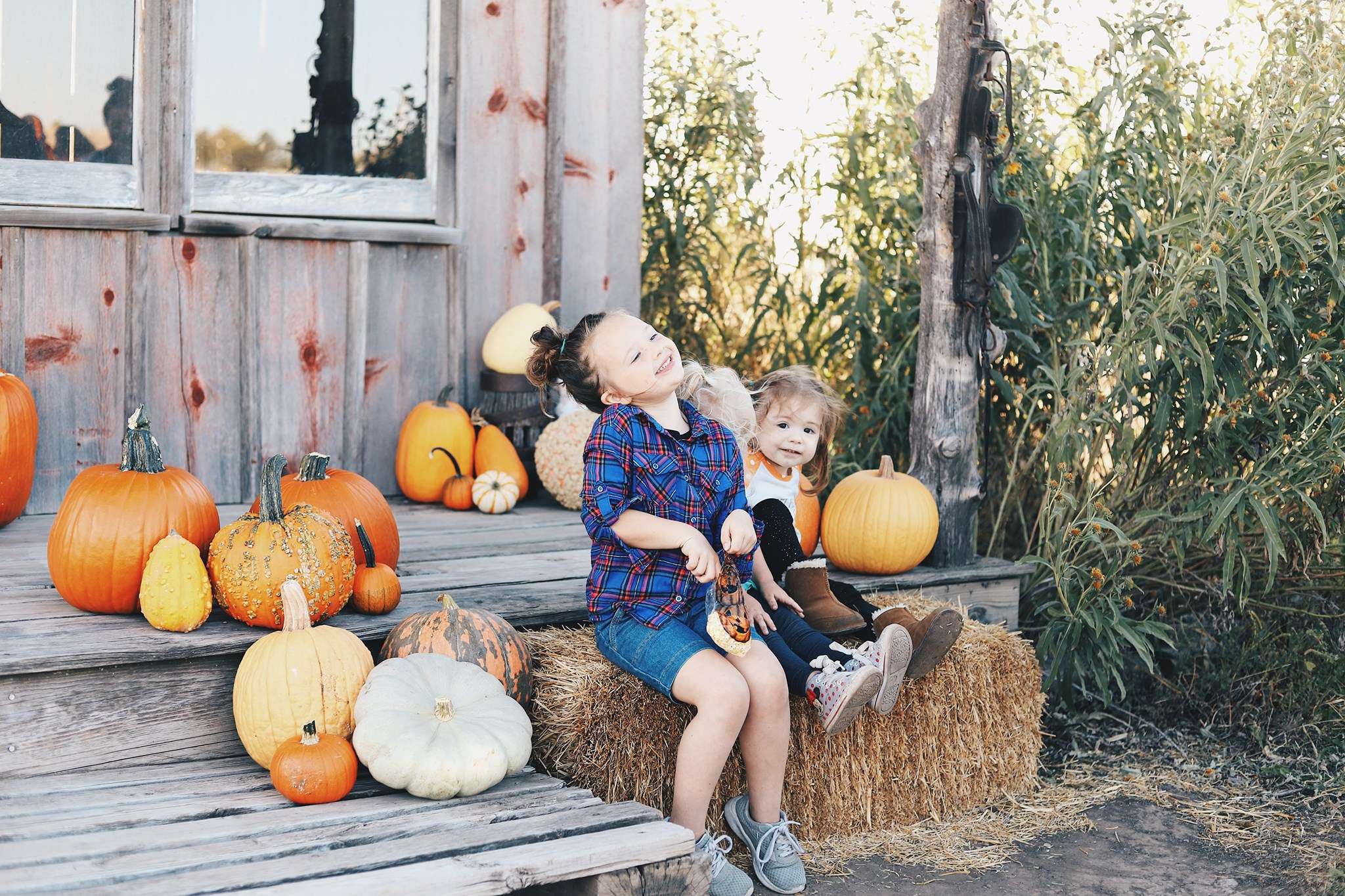 Autumn vibes...Barton Co. Young Professionals Fall Fest