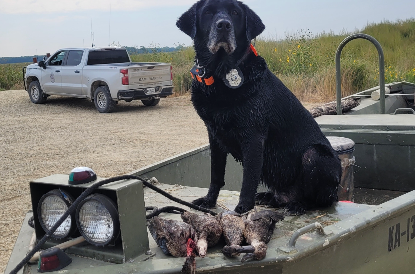 Photo KDWP Game Wardens