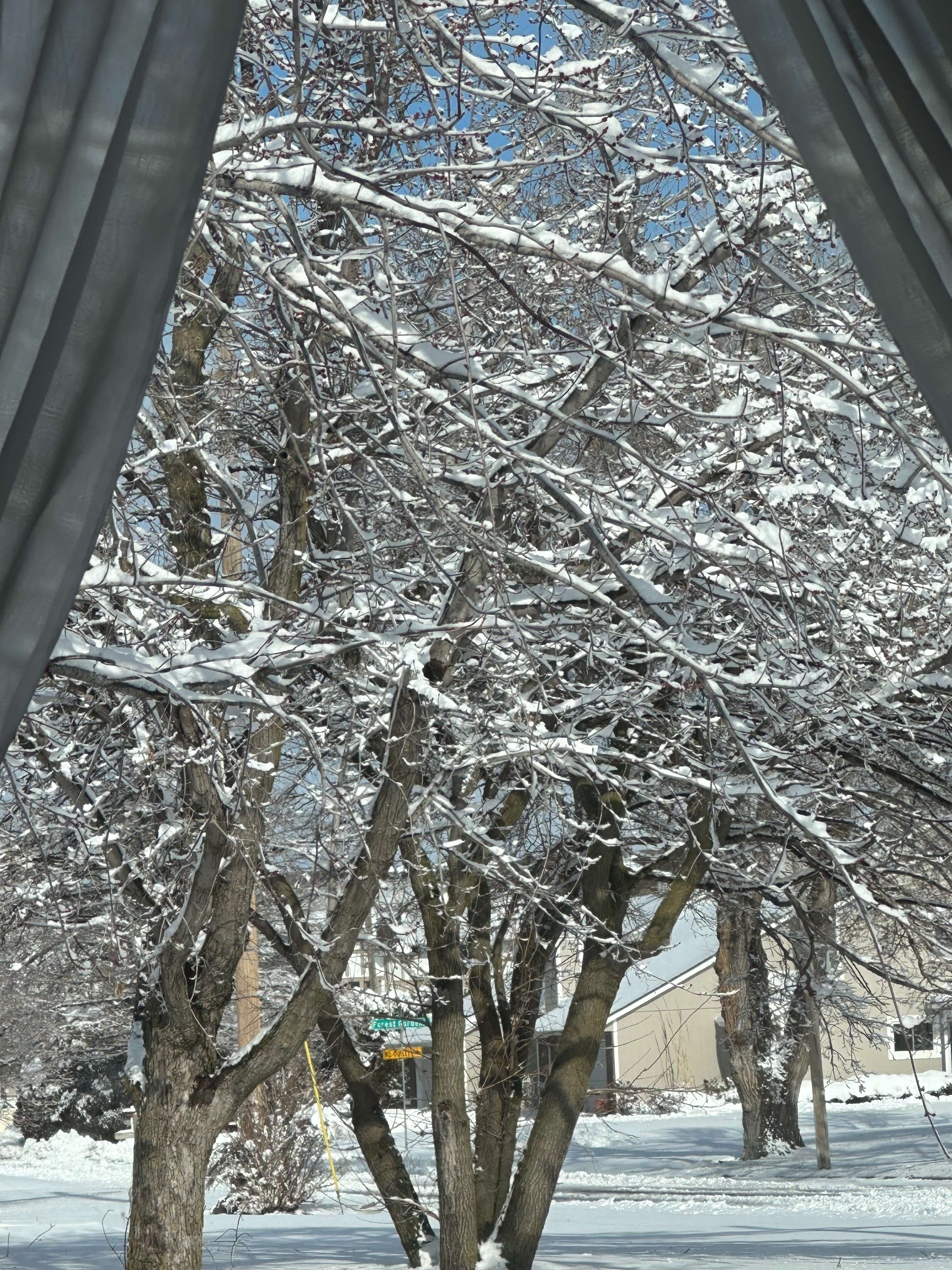 Photo by Max Bringle.&nbsp;