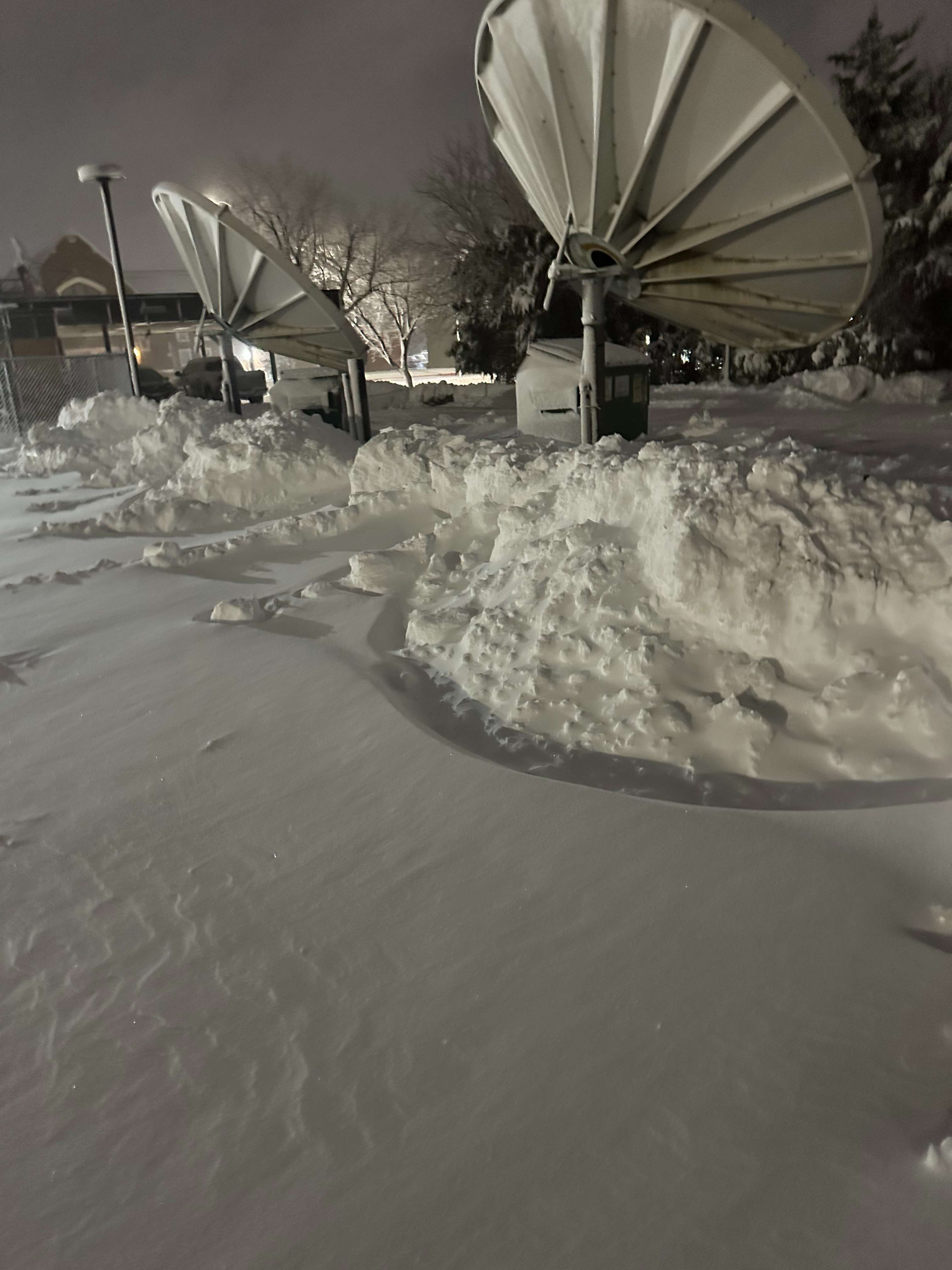 Photo by Max Bringle.