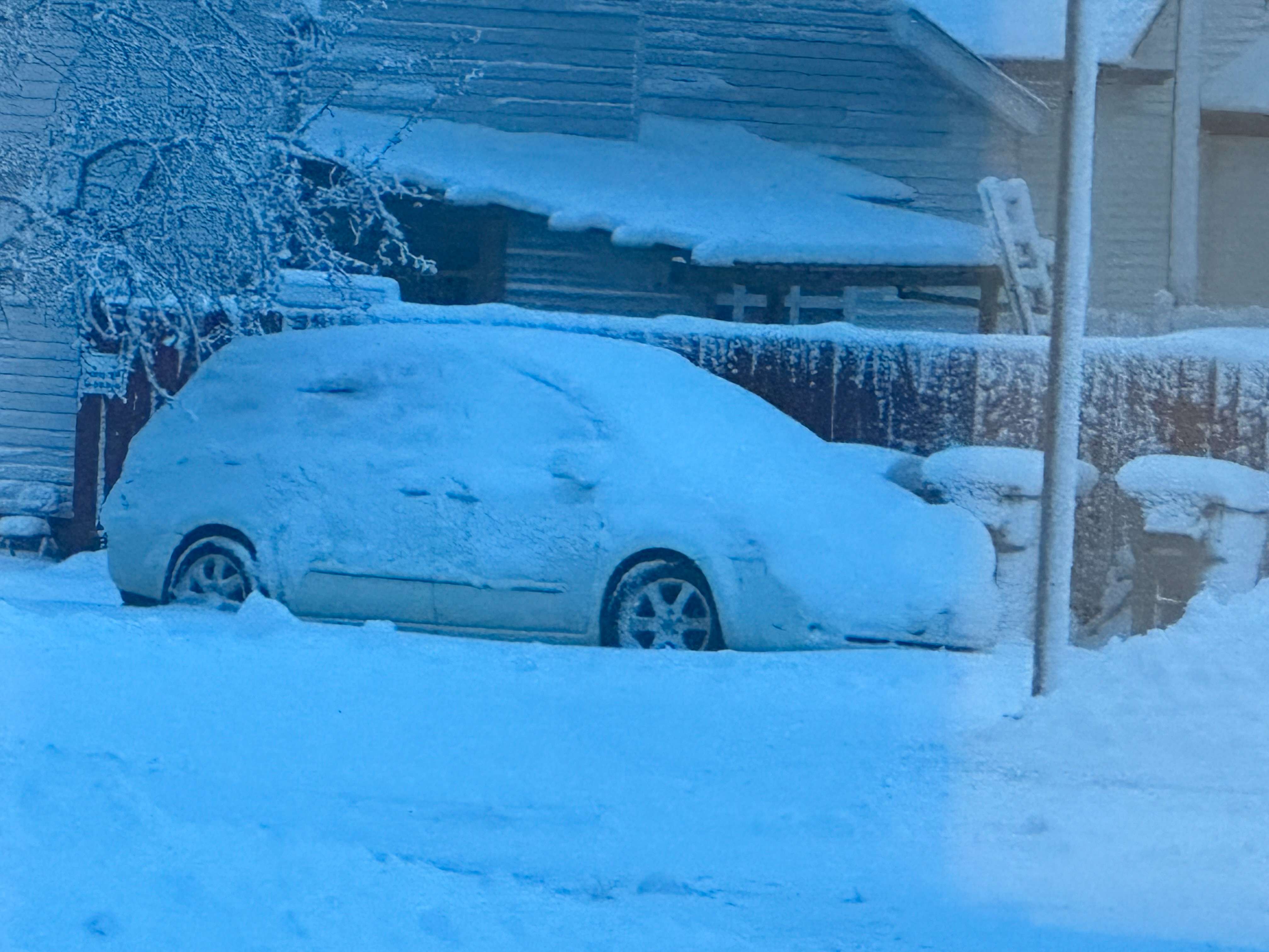 Photo by Max Bringle.&nbsp;