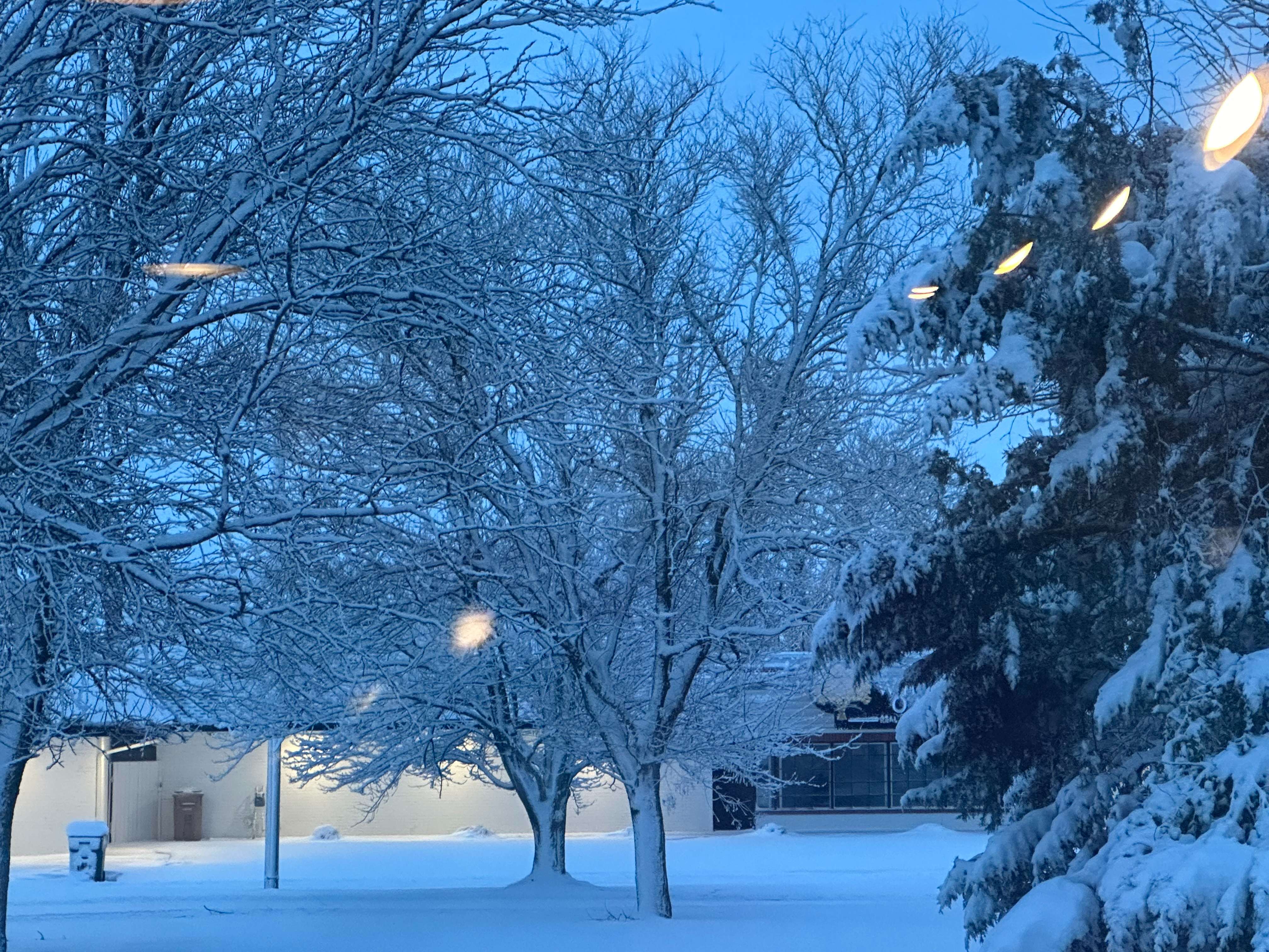 Photo by Max Bringle.