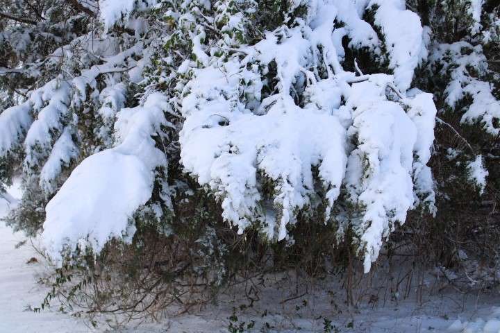 Photo by Emmie Boese.