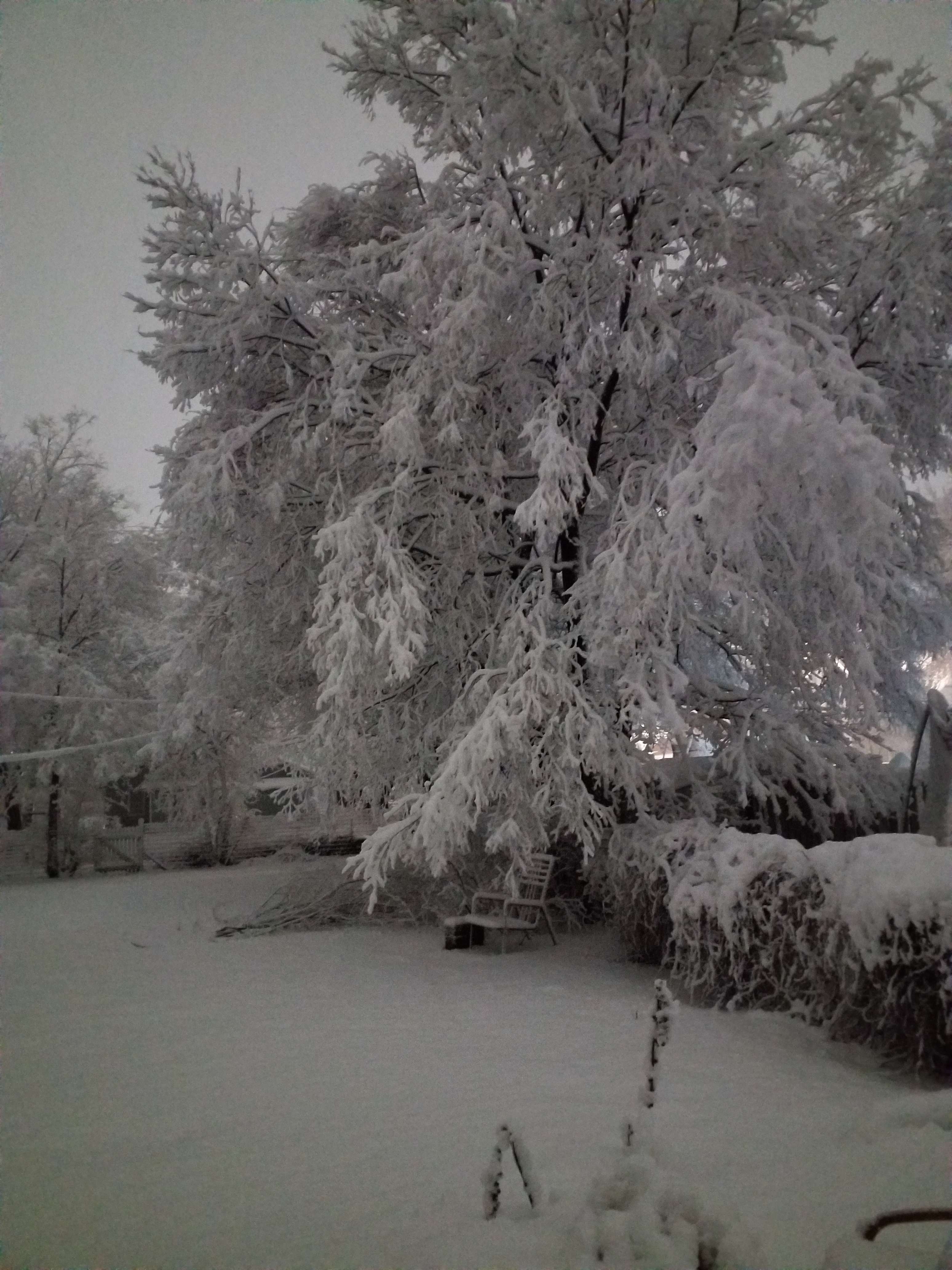 Photo by Connie Sieg.