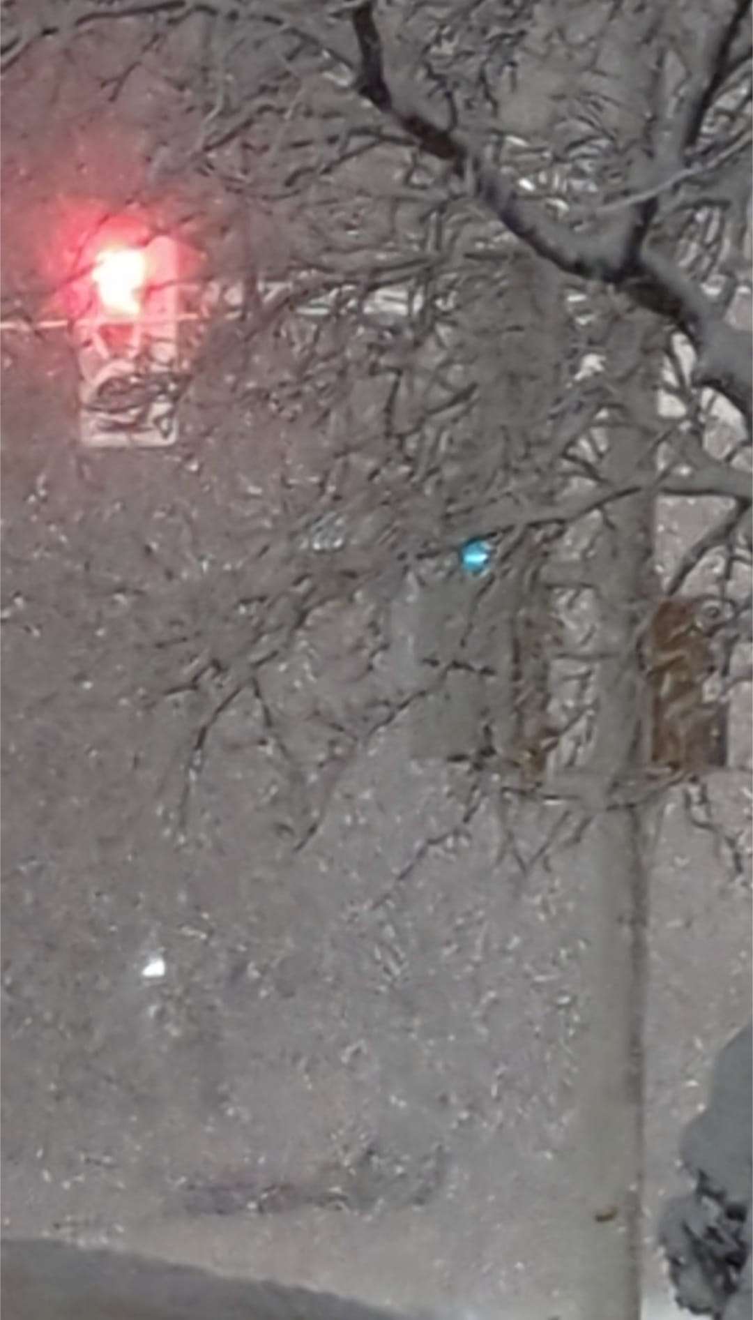 Photo by Angie Marquis.