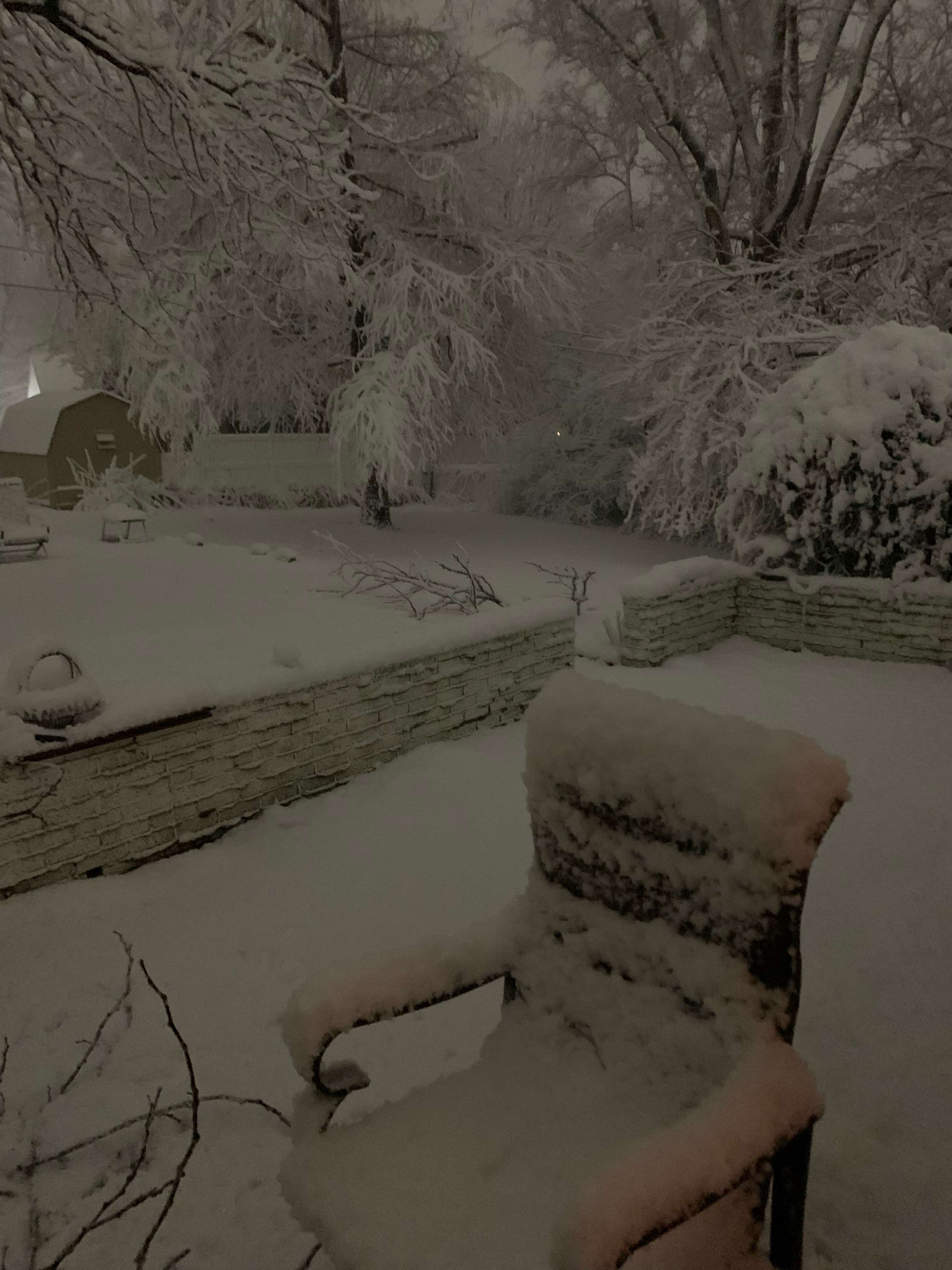 Photo by Paula Maxfield.