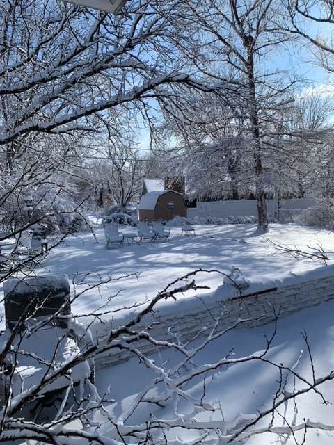 Photo by Paula Maxfield.